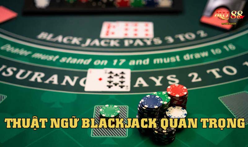 Bỏ túi các thuật ngữ quan trọng khi tham gia Blackjack nhà cái này