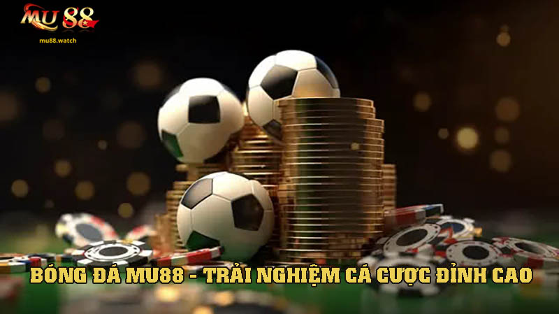 Bóng Đá – Trải Nghiệm Cá Cược Đỉnh Cao Từng Trận