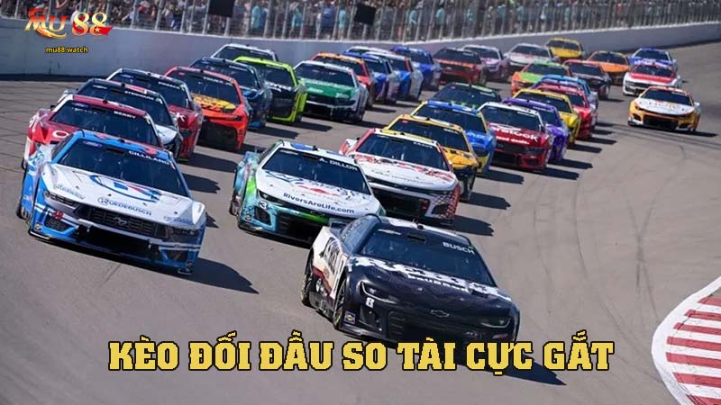 Kèo Đối Đầu - So Tài Cực Gắt, Thắng Lớn Mỗi Cuộc Chơi!